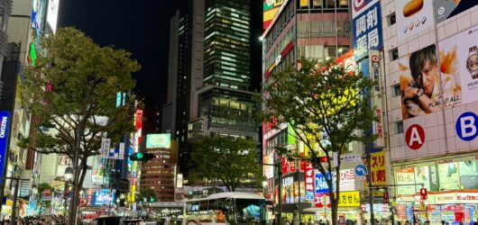 Exploring Tokyo on a Budget: Your Essential Guide to Why You Should Visit